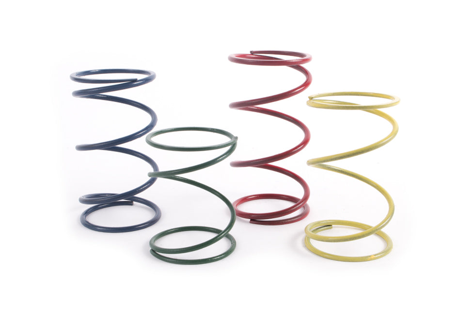 Forge Motorsport FMWCW1 Spring Kit - TMC Motorsport