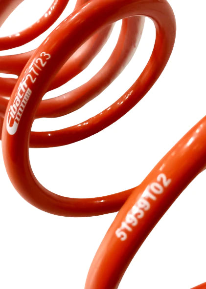 Genuine Abarth (Eibach) Spring, Rear Suspension - 500 Abarth - TMC Motorsport