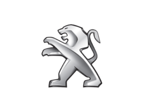 Piper Exhausts Peugeot 306 1.4i/1.6i/XR/XT/XL/MERIDIAN/ SPINNAKER (93-97) - Centre Without Silencer - TMC Motorsport