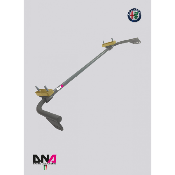 Alfa Giulietta Rear Adjustable Torsion Bar Kit - DNA Racing - TMC Motorsport