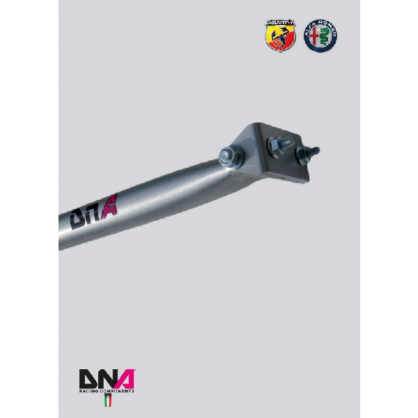 Abarth Punto Rear Strut Bar No Tie Rods Kit - DNA RACING - TMC Motorsport