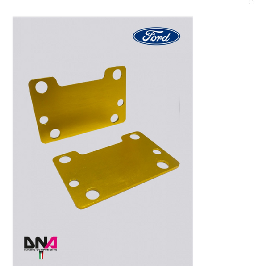 Ford Fiesta MK7/MK7.5 Negative Camber Plates Kit - DNA Racing