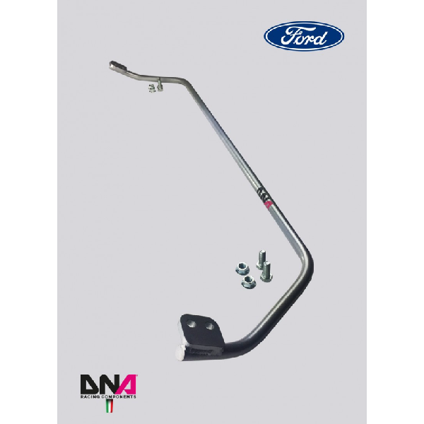Ford Fiesta MK7/MK7.5 Rear Torsion Bar Spring Steel 22mm Kit - DNA Racing - TMC Motorsport