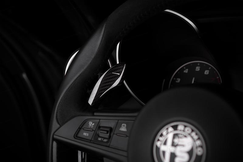 Alfa Romeo Giulia / Stelvio Paddle Shifters Cover - Carbon Fibre