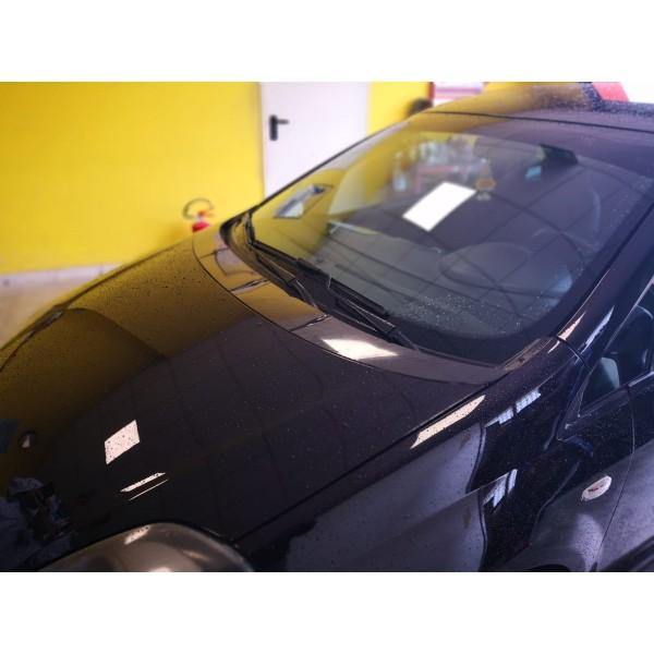 Abarth Punto Evo Carbon Lower Window Trim Deflector - TMC Motorsport