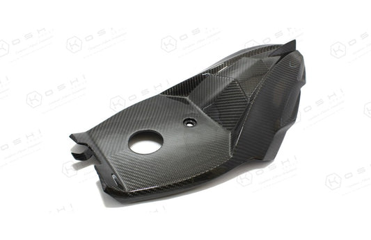 Harley Davidson V-ROD Back Tail - Carbon Fibre