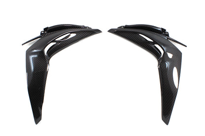 Kawasaki Z1000 side panels (large) - Carbon Fibre