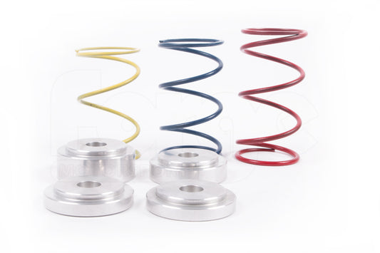 Forge Motorsport FMDVRAYV2 Spring Kit - TMC Motorsport