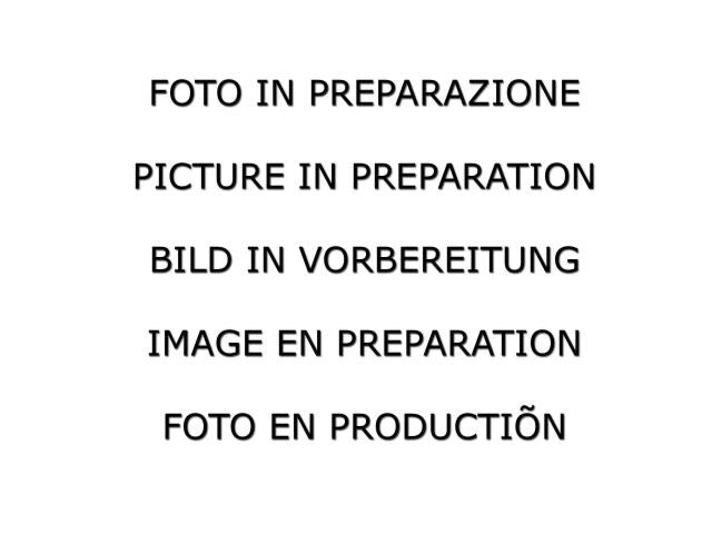 Ragazzon Top Line stainless steel rear silencer MINI JCW 2.0 (170kW) 2014>>07/2018 (50.0982.30) - TMC Motorsport