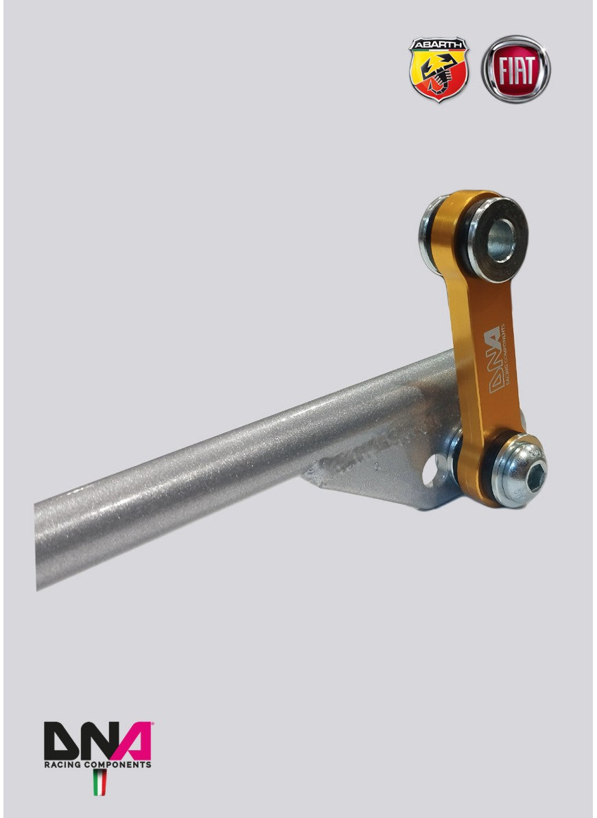 FIAT PANDA REAR ADJUSTABLE TORSION BAR KIT - DNA Racing - TMC Motorsport