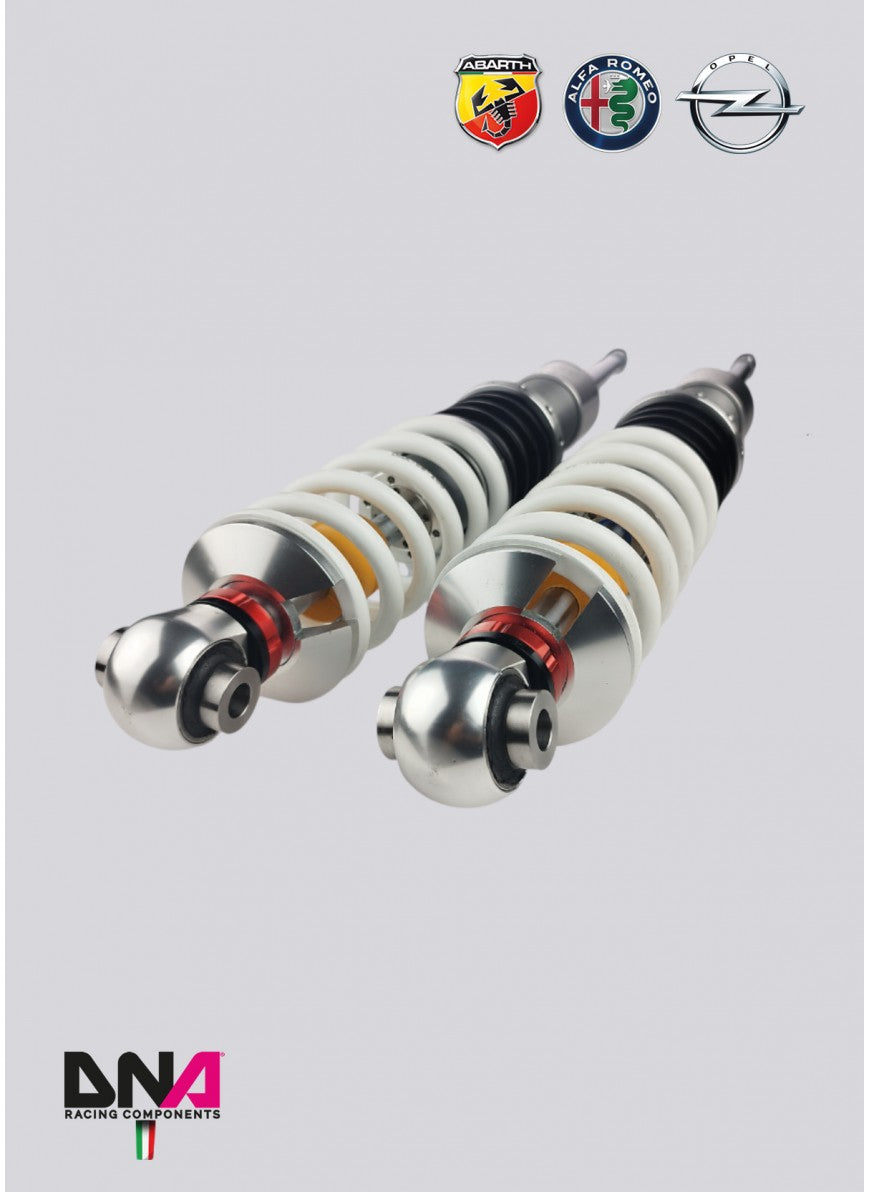 Abarth Punto WRS Coilover Kit - DNA Racing - TMC Motorsport