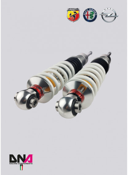 Abarth Punto WRS Coilover Kit - DNA Racing - TMC Motorsport