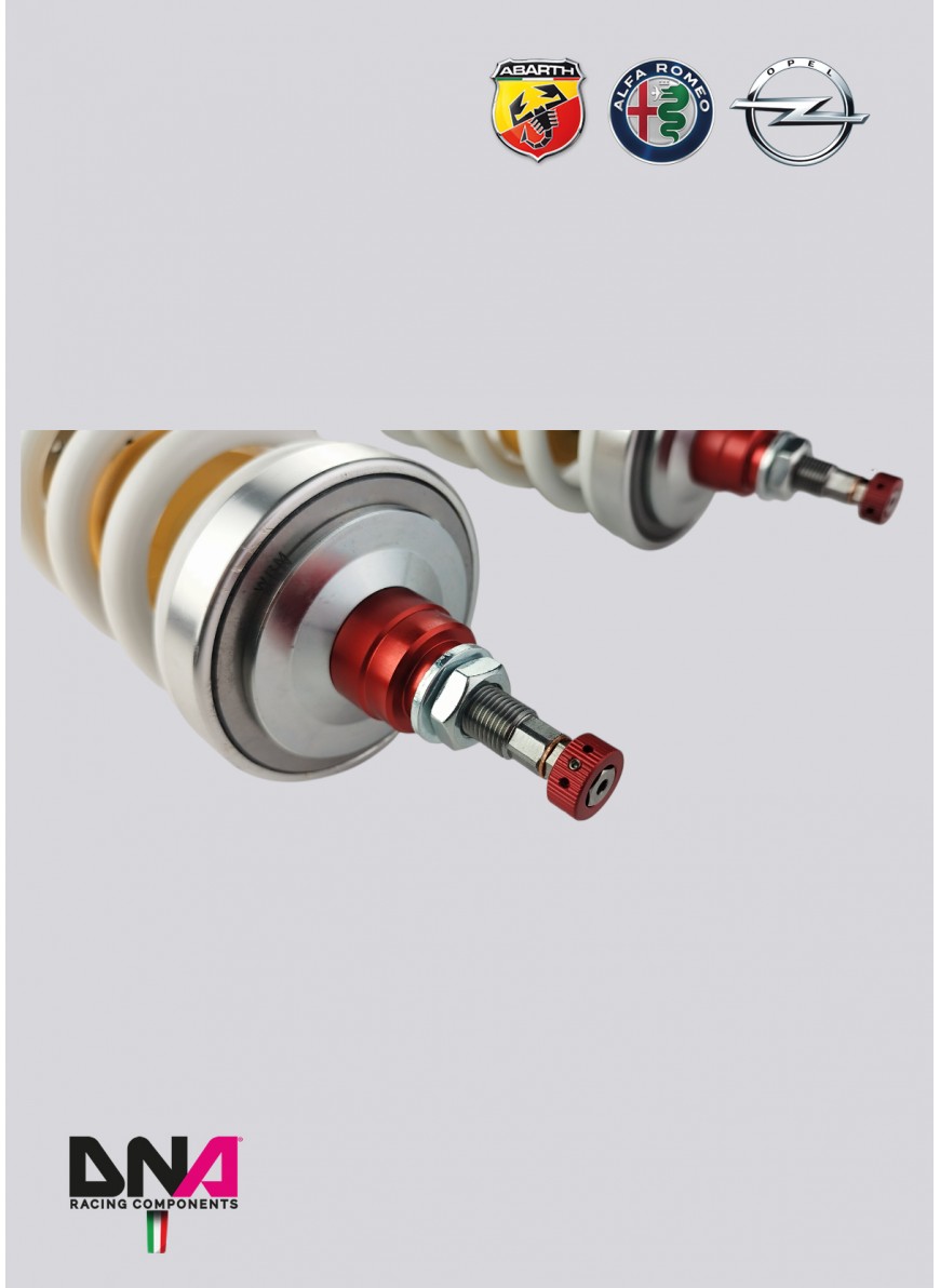 Abarth Punto WRS Coilover Kit - DNA Racing - TMC Motorsport