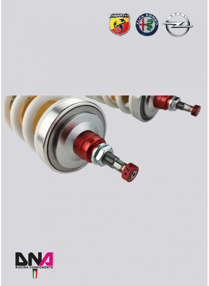 Abarth Punto WRS Coilover Kit - DNA Racing - TMC Motorsport