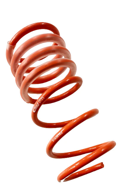 Genuine Abarth (Eibach) Spring, Rear Suspension - 500 Abarth - TMC Motorsport