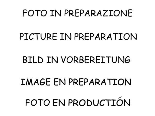 Ragazzon Rear Silencer AUDI A6 (typ 4G) 2011>> 2.0TDi (130kW) 2011>>2014 (50.0511.65) - TMC Motorsport