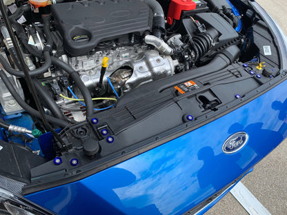 Engine Bay Dress-Up Kit for MK4 Ford Focus | Anodized Washers & Stainless Screws by CEUK
