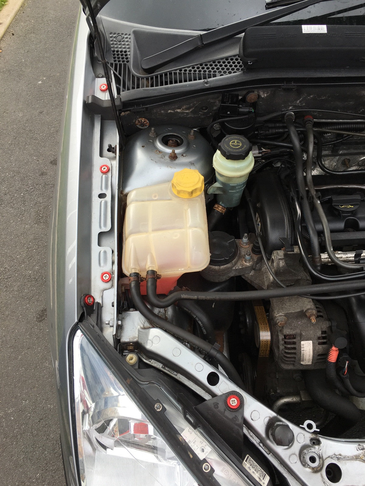 Ford Focus MK1 - Engine Bay Dress-Up Kit – Anodised Washers | CEUK