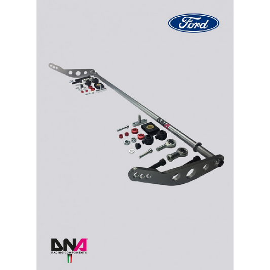 Ford Fiesta MK7/MK7.5 Rear Adjustable Torsion Bar › 20x3mm Kit - DNA Racing